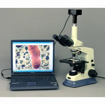 Лабораторный микроскоп Doctor Vet-AmScope Поставляет Составной микроскоп Doctor Vet Lab 40X-1600X + USB-камера 10MA для Windows и Mac OS