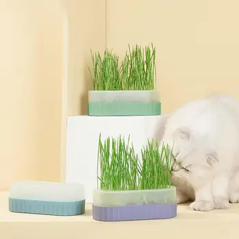 Горшок с кошачьей травой для домашних кошек Гидропонный горшок для кошачьей травы Питомник для выращивания домашних животных на крыльце и заднем дворе