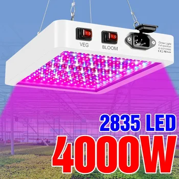 Полный спектр светодиодных ламп для выращивания растений 220 В 110 В Гидропонная лампа 4000 Вт 5000 Вт Тепличные Фито-лампы для выращивания цветов Осветительная коробка