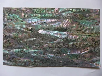 натуральная мексиканская бумага из ракушки морского ушка 1шт, украшающая материал инкрустации